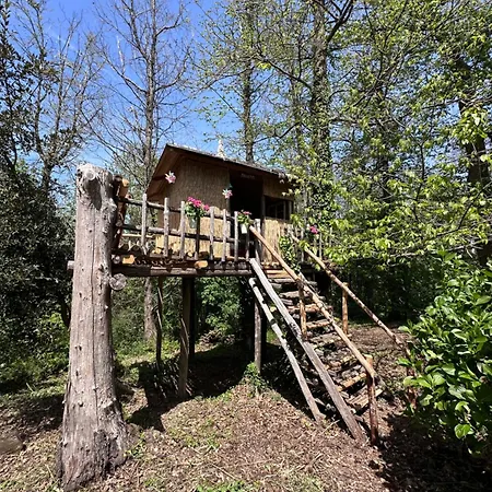 La Casa Degli Elfi Manziana