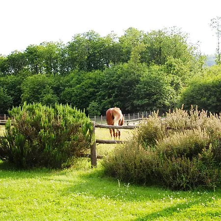 Casa vacanze La Casa Degli Elfi Manziana