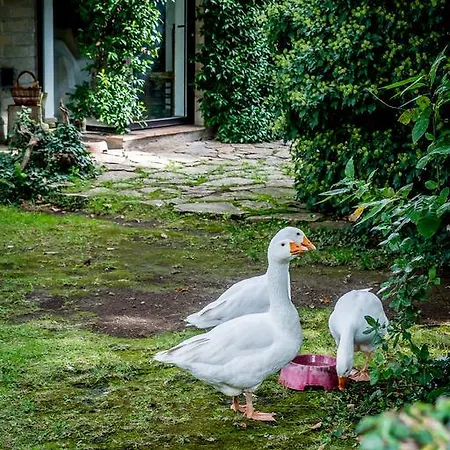 Casa vacanze La Casa Degli Elfi